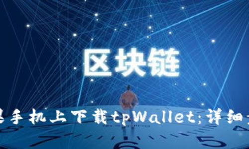 如何在苹果手机上下载tpWallet：详细步骤与技巧