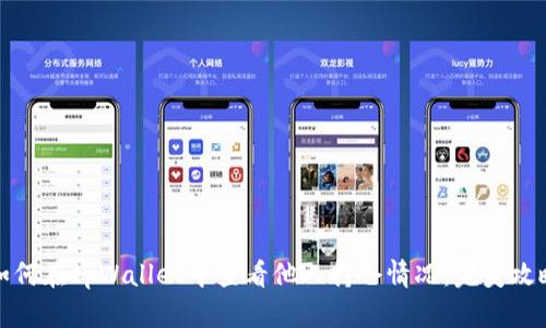 如何在tpWallet中查看他人持仓情况：完美攻略