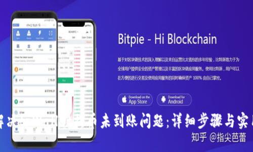 如何解决tpWallet提币未到账问题：详细步骤与实用建议