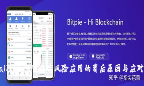 tpWallet如何变成高风险应用的背后原因与应对策略