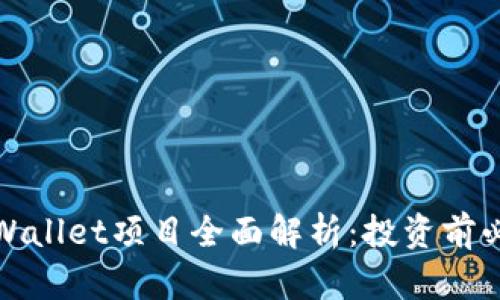 tpWallet项目全面解析：投资前必读