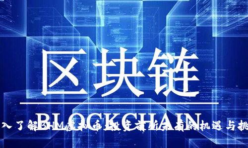 深入了解BHM虚拟币：投资前所未有的机遇与挑战