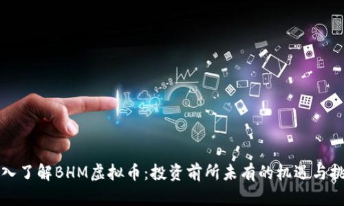 深入了解BHM虚拟币：投资前所未有的机遇与挑战