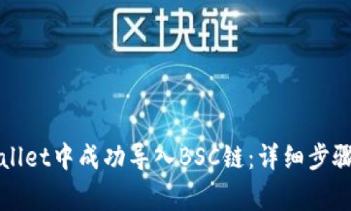 如何在tpWallet中成功导入BSC链：详细步骤与注意事项