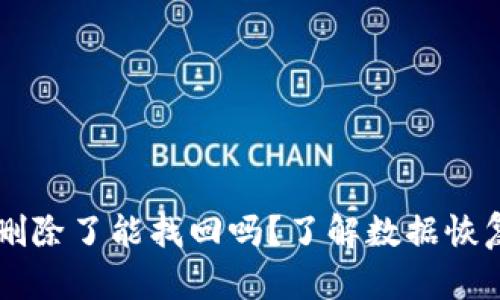 ### tpWallet删除了能找回吗？了解数据恢复的可能性与步骤