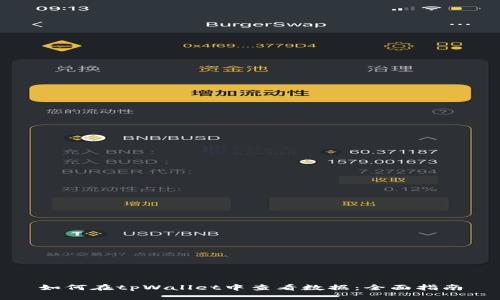 如何在tpWallet中查看数据：全面指南