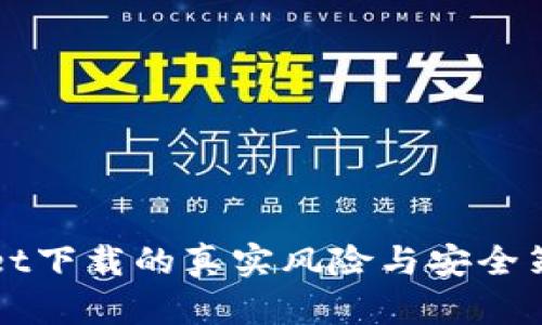 tpWallet下载的真实风险与安全策略分析