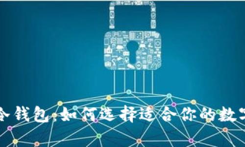 TP观察钱包与冷钱包：如何选择适合你的数字货币存储方式