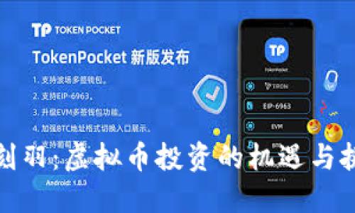 金刻羽：虚拟币投资的机遇与挑战