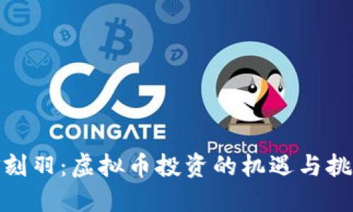 金刻羽：虚拟币投资的机遇与挑战