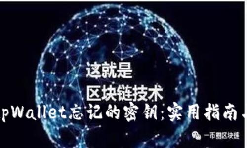 如何找回tpWallet忘记的密钥：实用指南与成功案例