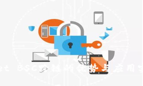 tpWallet BSC跨链的优势与应用实战分析