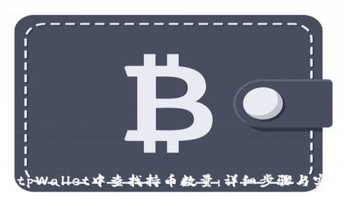 如何在tpWallet中查找持币数量：详细步骤与实用技巧