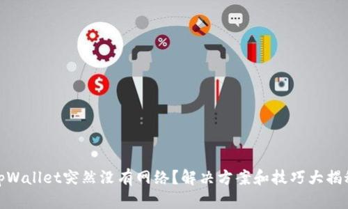 tpWallet突然没有网络？解决方案和技巧大揭秘