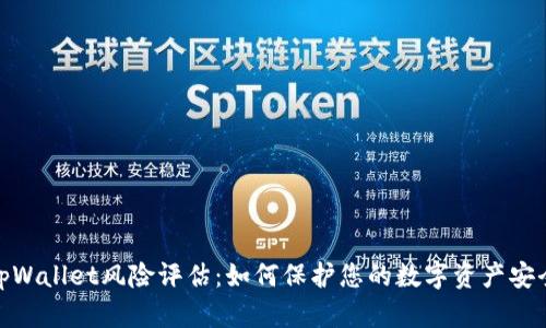 tpWallet风险评估：如何保护您的数字资产安全