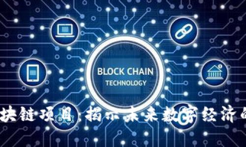 2051最新区块链项目：揭示未来数字经济的潜力与机遇