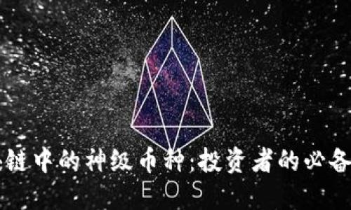 区块链中的神级币种：投资者的必备指南