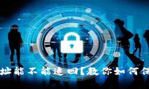 tpWallet转错地址能不能追回？教你如何保护你的数字资产