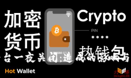 虚拟币交易平台一夜关闭：造成的影响与用户应对策略