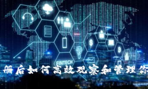 tpWallet注册后如何高效观察和管理你的数字资产