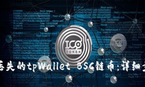 如何找回丢失的tpWallet BSC链币：详细步骤与技巧