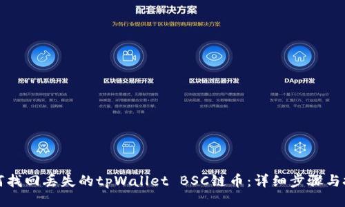 如何找回丢失的tpWallet BSC链币：详细步骤与技巧