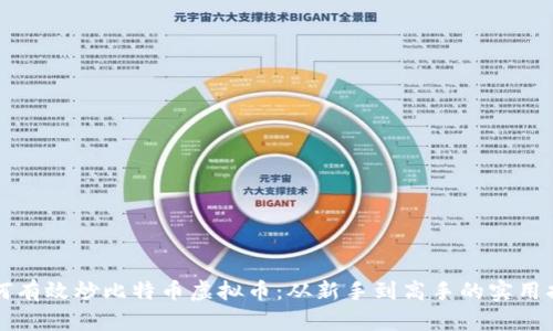 如何有效炒比特币虚拟币：从新手到高手的实用指南