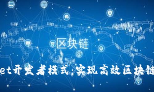 深入探讨tpWallet开发者模式：实现高效区块链应用的成功之路