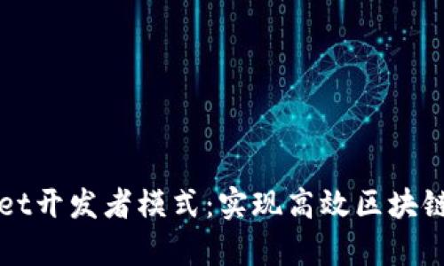 深入探讨tpWallet开发者模式：实现高效区块链应用的成功之路