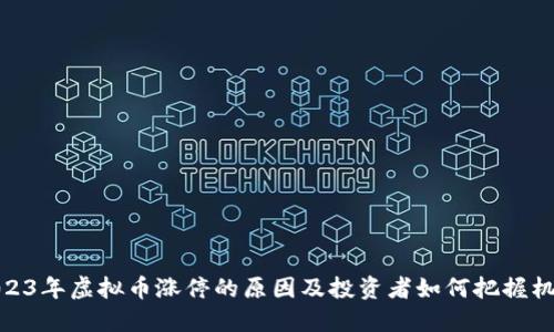 2023年虚拟币涨停的原因及投资者如何把握机会