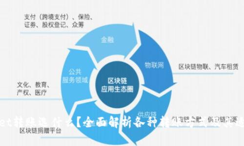 tpWallet转账选什么？全面解析各种转账方式及其适用场景