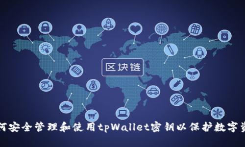 如何安全管理和使用tpWallet密钥以保护数字资产