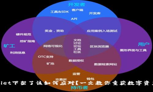 tpWallet下架了该如何应对？一文教你重获数字资产安全