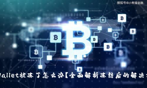 tpWallet被冻了怎么办？全面解析冻结后的解决方案