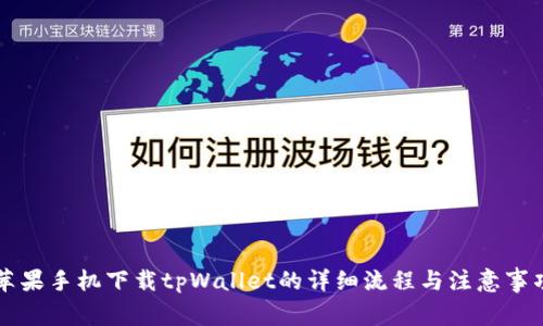 苹果手机下载tpWallet的详细流程与注意事项