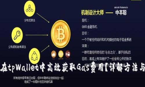 如何在tpWallet中高效获取Gas费用？详解方法与技巧