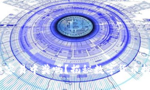 tpWallet：买币容易中奖吗？揭秘数字货币投资的成功秘诀