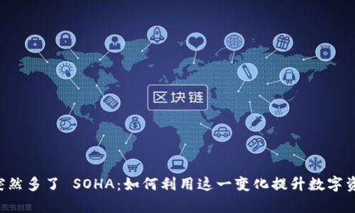 tpWallet 突然多了 SOHA：如何利用这一变化提升数字资产管理效率