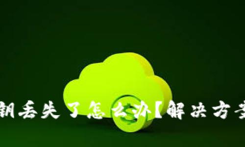 tpWallet私钥丢失了怎么办？解决方案与备份策略