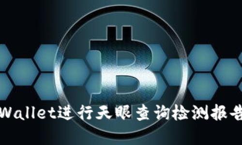如何使用tpWallet进行天眼查询检测报告的全面指南