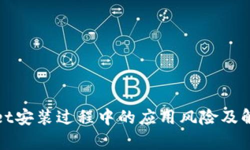 tpWallet安装过程中的应用风险及解决方案
