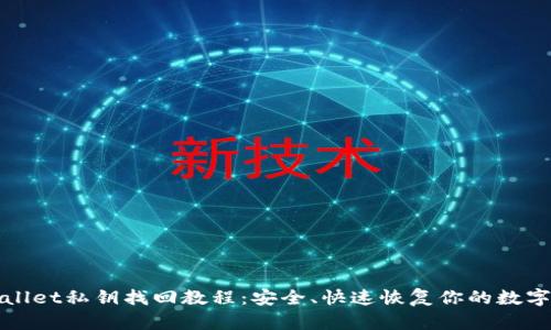 tpWallet私钥找回教程：安全、快速恢复你的数字资产