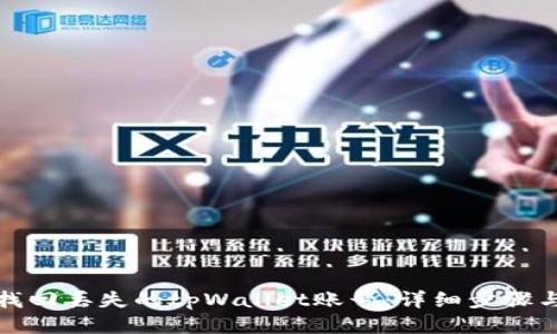 如何找回丢失的tpWallet账号：详细步骤与技巧