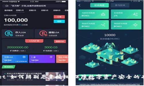 tpWallet 如何辨别恶意授权：保障数字资产安全的有效指南