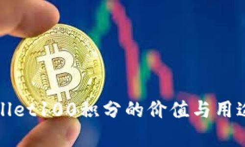 tpWallet100积分的价值与用途详解