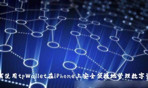 如何使用tpWallet在iPhone上安全便捷地管理数字资产