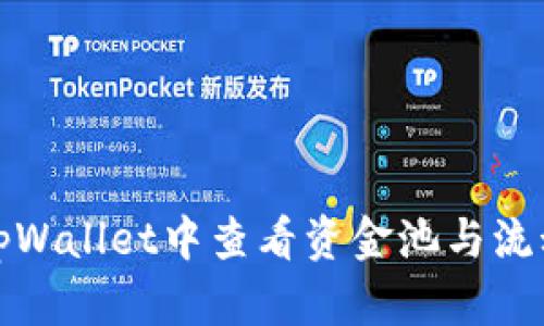 如何在tpWallet中查看资金池与流动性信息
