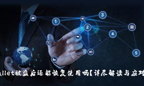 tpWallet被盗后还能恢复使用吗？详尽解读与应对措施