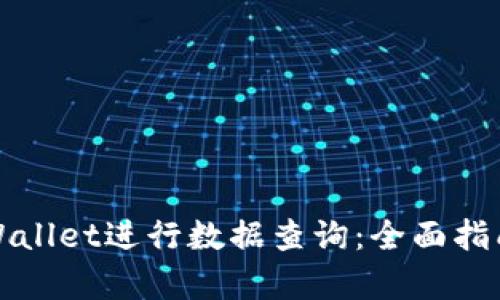 如何使用tpWallet进行数据查询：全面指南与实用技巧