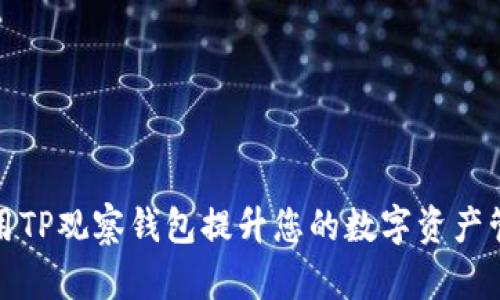如何使用TP观察钱包提升您的数字资产管理效率